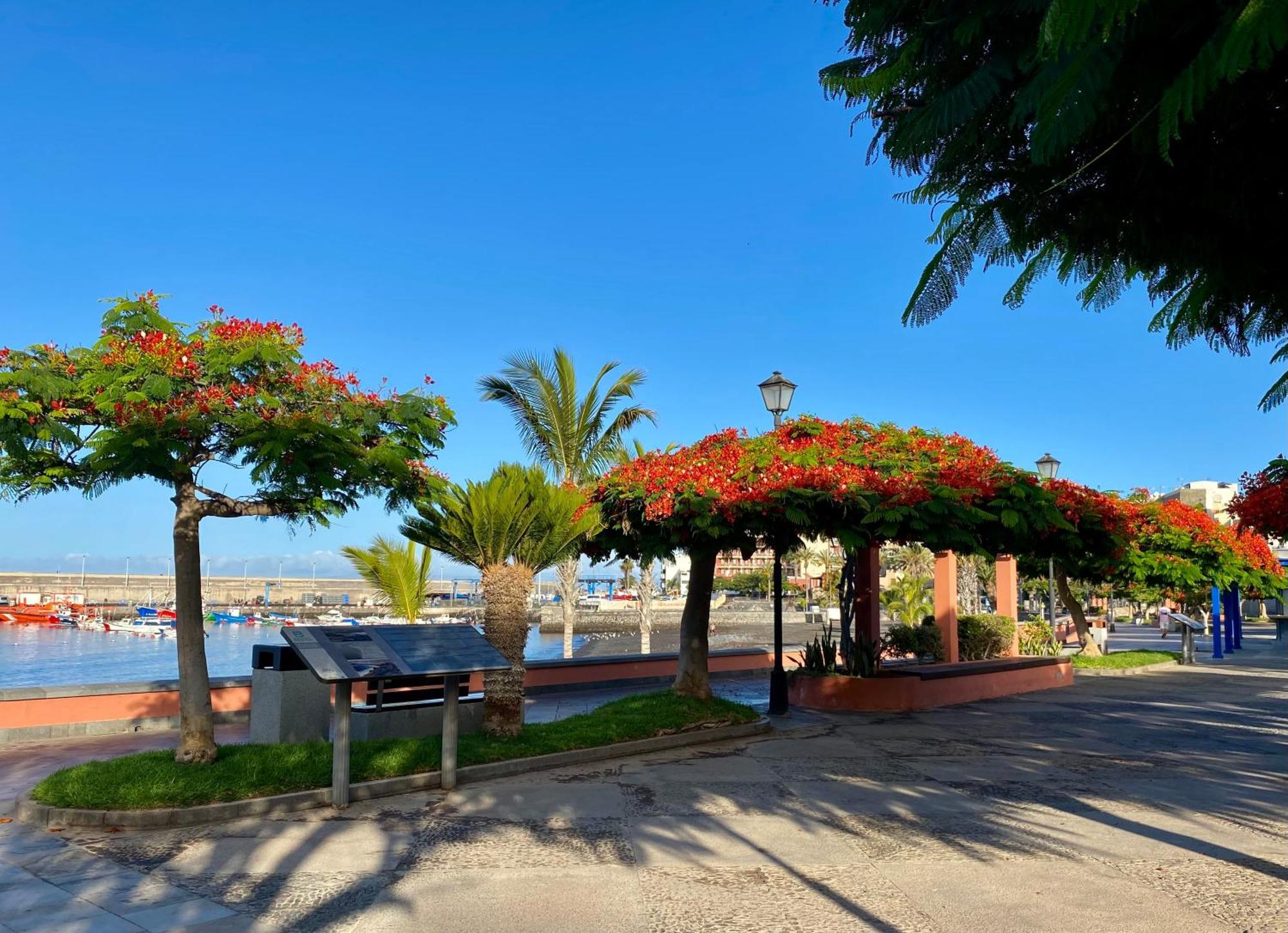 Casa Antonio - Apartamento Orion Playa de San Juan  Exterior photo